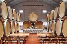 Reinforced Typical Food and Wine Tasting