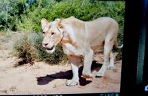  Addo Elephant National Park