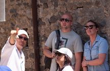 Pompeii Day Trip from Rome Guided Tour with Entry Included