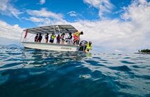 Sosua Snorkeling Adventure Tour with Guide and Gear Included