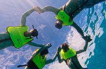 Sosua Snorkeling Adventure Tour with Guide and Gear Included