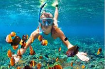 Sosua Snorkeling Adventure Tour with Guide and Gear Included