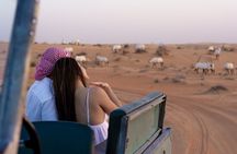 Overnight Desert Escape and Ballooning