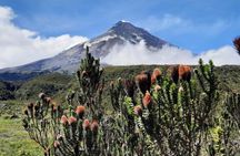 Full-Day Cotopaxi: Volcano, Jose Rivas Refuge and Limpiopungo.