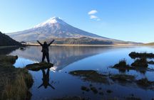 Full-Day Cotopaxi: Volcano, Jose Rivas Refuge and Limpiopungo.