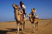 Full-Day Trip to the Small Desert