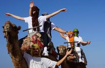 Full-Day Trip to the Small Desert