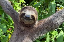 Manuel Antonio National Park : Guided Tour with ADMISSION INCLUDED