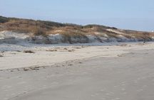 Beach Treasure Hunt & Jewelry Workshop! St. Simons Island Beach