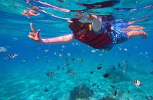 Nusa Penida Snorkeling: Manta Point & Island Day Trip 