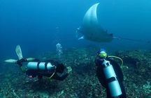 Nusa Penida Snorkeling: Manta Point & Island Day Trip 