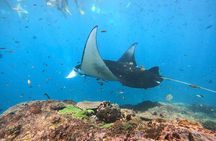 Nusa Penida Snorkeling: Manta Point & Island Day Trip 
