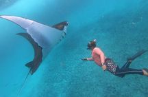 Nusa Penida Snorkeling: Manta Point & Island Day Trip 