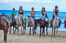 Punta Cana Beach Horseback Ride Paradise Coast Experience