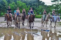 Punta Cana Beach Horseback Ride Paradise Coast Experience