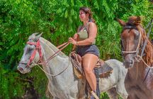 Punta Cana Beach Horseback Ride Paradise Coast Experience