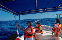 Cabo San Lucas Arch Private Boat Tour