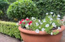 The Luxe South Australia Experience Full Day Tour