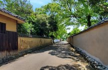 Kitsuki Castle Town Private Tour & Cultural Experience