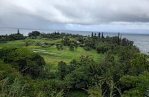 Half Day Private Road to Hana Tour with Pickup 