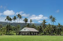 Private Road to Hana Tour with Pickup-Ultimate Package, Backside