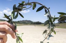 Ancient Olympia Full Day Shared Tour from Athens