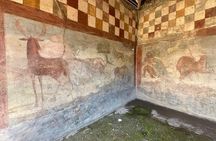 From Naples Shared Guided Tour of Pompeii with Wine Tasting