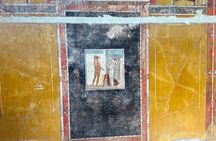 From Naples Shared Guided Tour of Pompeii with Wine Tasting