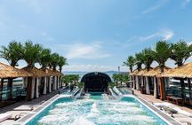 Sail Halong Bay in Luxury Dolphin Day Cruise with Panoramic Views