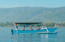 North Bali Expedition: See Dolphins, Hot Springs & Wanagiri Hills