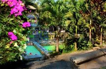 North Bali Expedition: See Dolphins, Hot Springs & Wanagiri Hills
