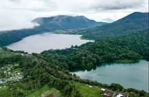 North Bali Expedition: See Dolphins, Hot Springs & Wanagiri Hills