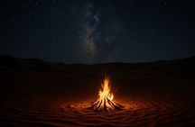 Wahiba Sands Desert Adventure Dune Drive and Camp