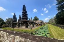 Bali Jungle Adventure: Swing Heaven, Monkey Forest & Temple