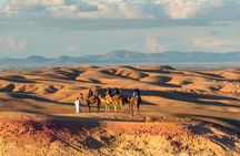 Marrakech: Agafay Desert Quad Bike & Camel Ride with Dinner Show
