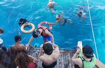 Ras Mohamed and White Island Snorkel Swim Tour