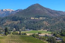 Kenwood Wine Country Electric Trike 3 Hours Tour