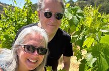 Kenwood Wine Country Electric Trike 3 Hours Tour