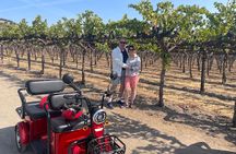 Kenwood Wine Country Electric Trike 3 Hours Tour