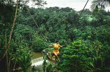 Bali Jungle Adventure: Swing Heaven, Monkey Forest & Temple