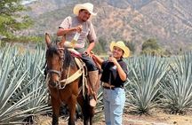 The Premium Tequila route