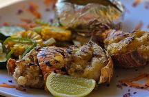 Explore Roatan with Zipline Wildlife and Beaches