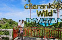 Explore Roatan with Zipline Wildlife and Beaches