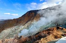 Private Hakone Rail Adventure