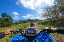 Triple Adventure Horseback ATV and Catamaran Cruise in Seville