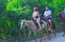 Punta Cana Horseback Riding Adventure on Macao Beach