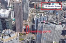 Mt. Fuji, Hakone Pirate Ship, Owakudani Ropeway, Gotemba Outlets