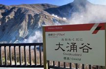 Mt. Fuji, Hakone Pirate Ship, Owakudani Ropeway, Gotemba Outlets