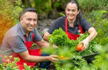 Experience the Authentic Costa Rican Cuisine in La Fortuna