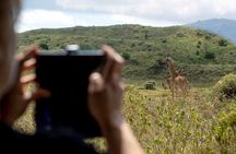 Day Safari to Arusha National Park in ‘Little Red Rover’ 